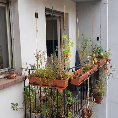 스트라스부르 La Puisatiere 80 M2 아파트 외부 사진