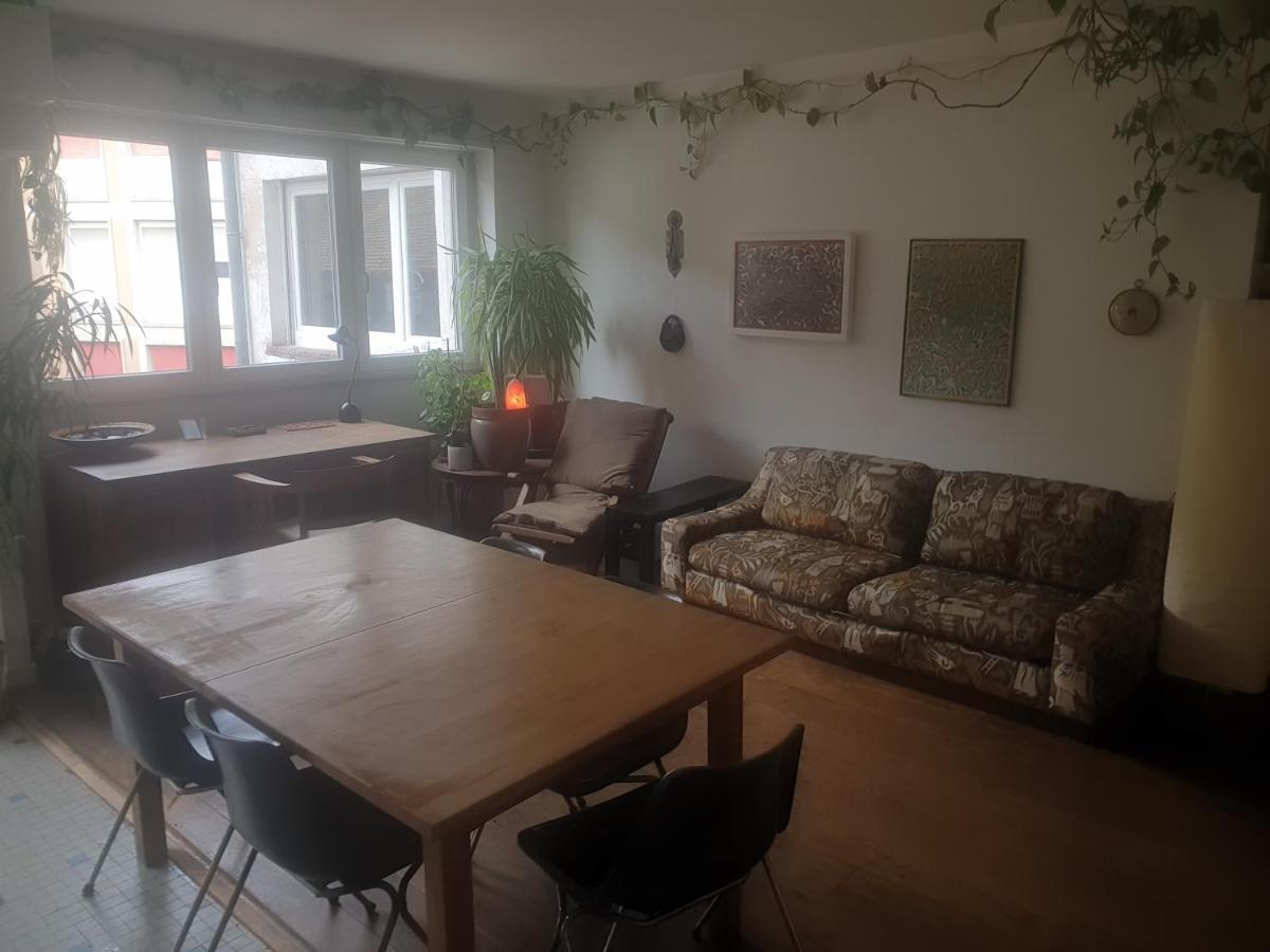 스트라스부르 La Puisatiere 80 M2 아파트 외부 사진
