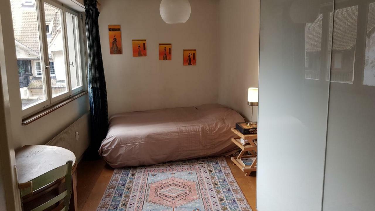 스트라스부르 La Puisatiere 80 M2 아파트 외부 사진